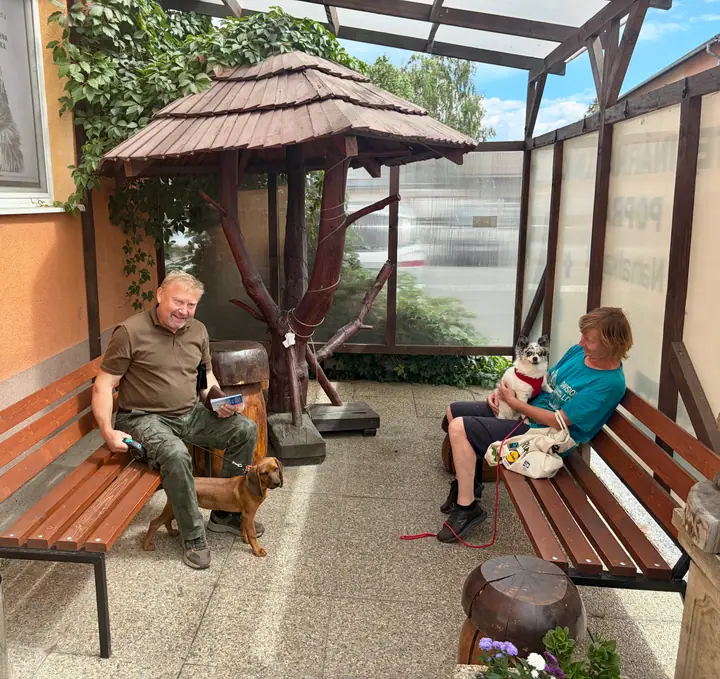 Klienti so svojimi psami na krytej terase pred klinikou