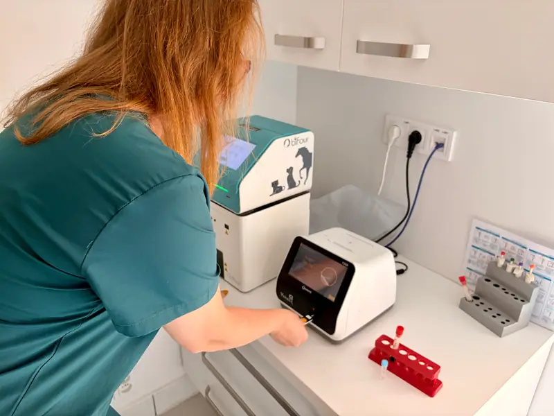 Vlastné laboratórium kliniky s analyzátormi krvi